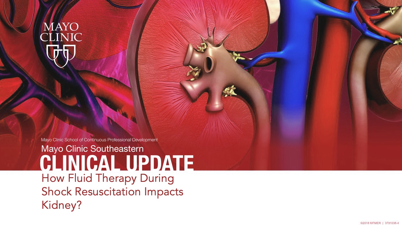 How Fluid Therapy During Shock Resuscitation Impacts Kidney?
