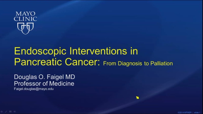 Endoscopic Interventions In Pancreatic Cancer From Diagnosis To Palliation 8597
