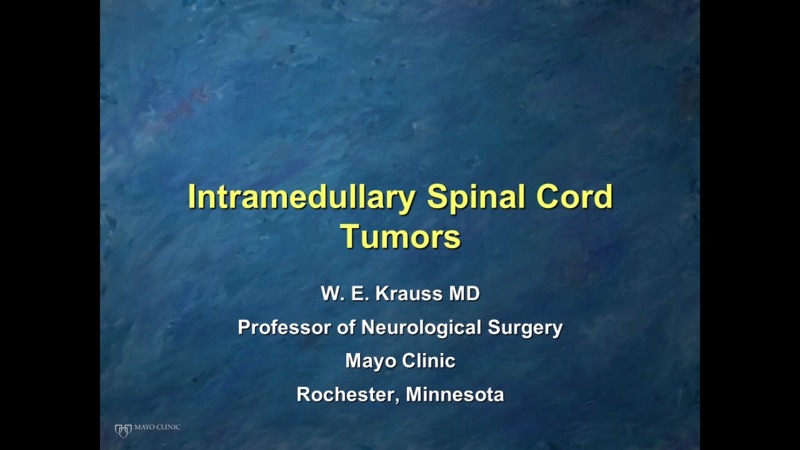 Pdf Imaging Of Intramedullary Spinal Cord Lesions On Mri